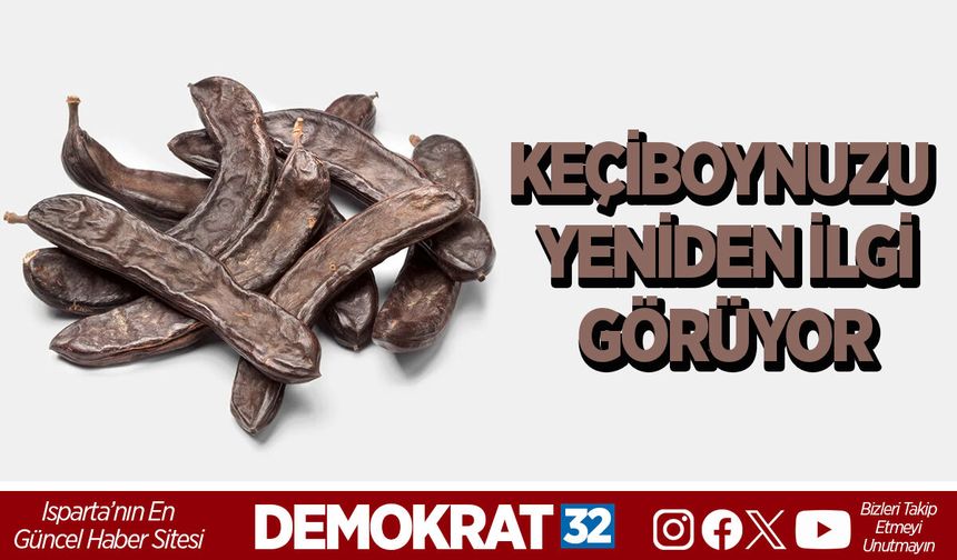 Keçiboynuzu Yeniden İlgi Görüyor