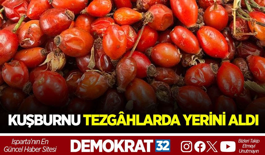 KUŞBURNU TEZGÂHLARDA YERİNİ ALDI