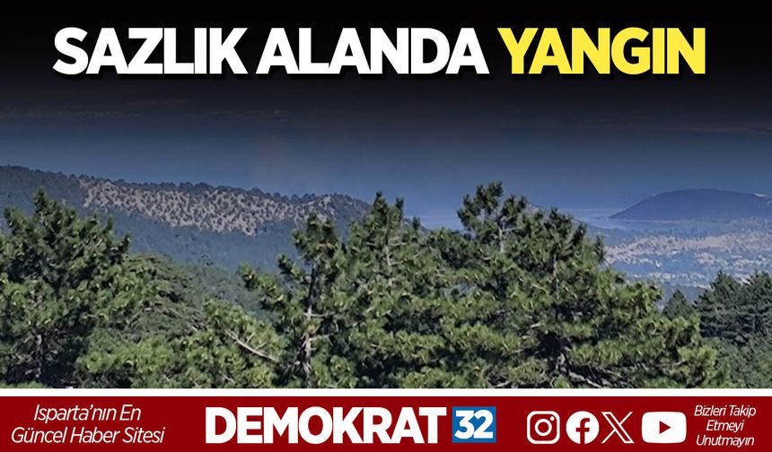 SAZLIK ALANDA YANGIN