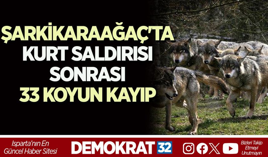 ŞARKİKARAAĞAÇ'TA KURT SALDIRISI SONRASI 33 KOYUN KAYIP