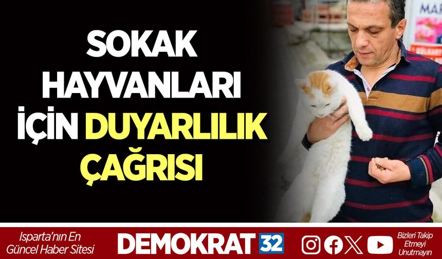 SOKAK HAYVANLARI İÇİN DUYARLILIK ÇAĞRISI