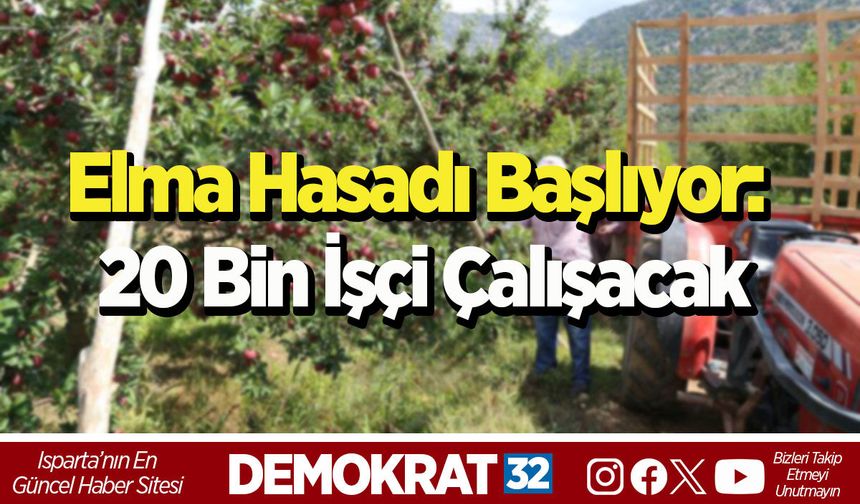 Elma Hasadı Başlıyor: 20 Bin İşçi Çalışacak
