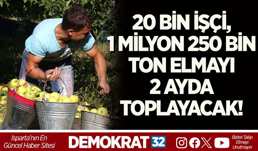 20 BİN İŞÇİ, 1 MİLYON 250 BİN TON ELMAYI 2 AYDA TOPLAYACAK!