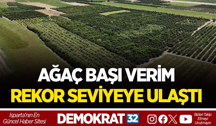 AĞAÇ BAŞI VERİM REKOR SEVİYEYE ULAŞTI