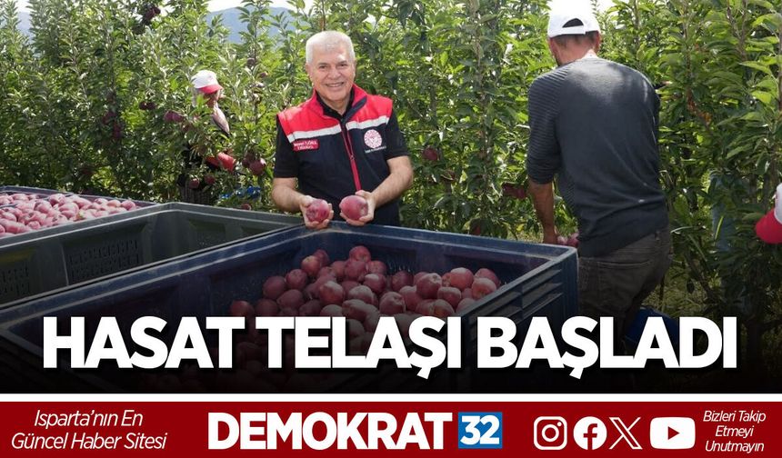 HASAT TELAŞI BAŞLADI