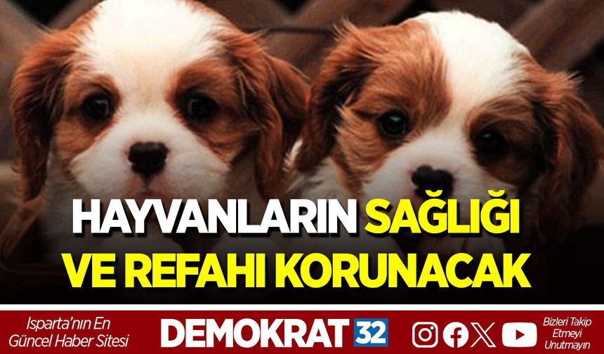HAYVANLARIN SAĞLIĞI VE REFAHI KORUNACAK