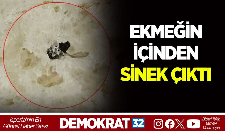 ISPARTA’DA EKMEĞİN İÇİNDEN SİNEK ÇIKTI