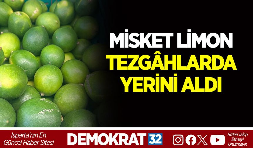 MİSKET LİMON TEZGÂHLARDA YERİNİ ALDI