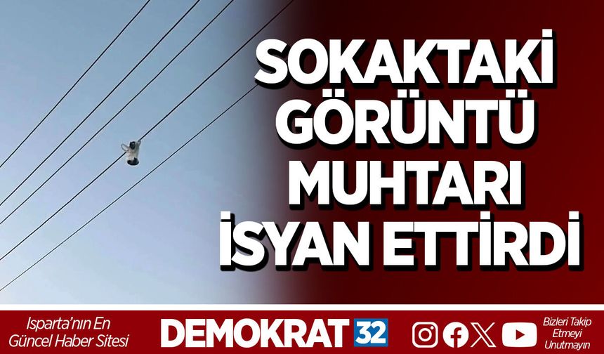 SOKAKTAKİ GÖRÜNTÜ MUHTARI İSYAN ETTİRDİ