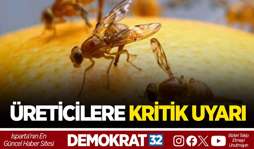 ÜRETİCİLERE KRİTİK UYARI
