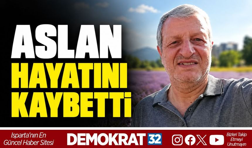ASLAN HAYATINI KAYBETTİ