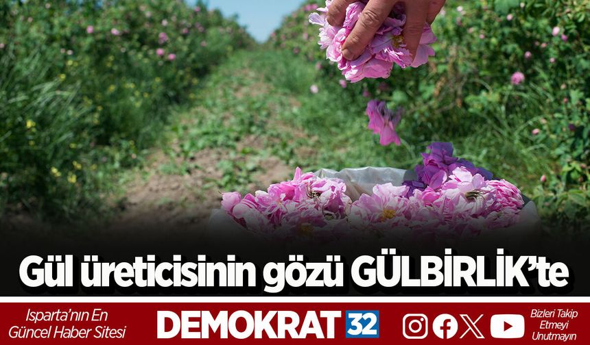 Gül üreticisinin gözü GÜLBİRLİK’te