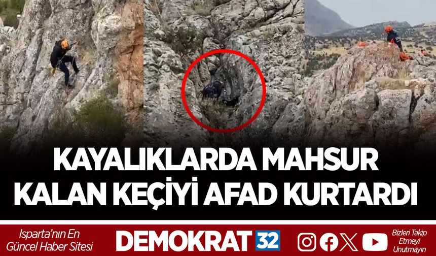 KAYALIKLARDA MAHSUR KALAN KEÇİYİ AFAD KURTARDI