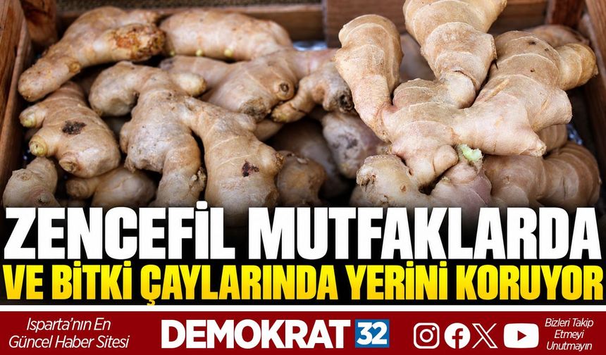 ZENCEFİL MUTFAKLARDA VE BİTKİ ÇAYLARINDA YERİNİ KORUYOR