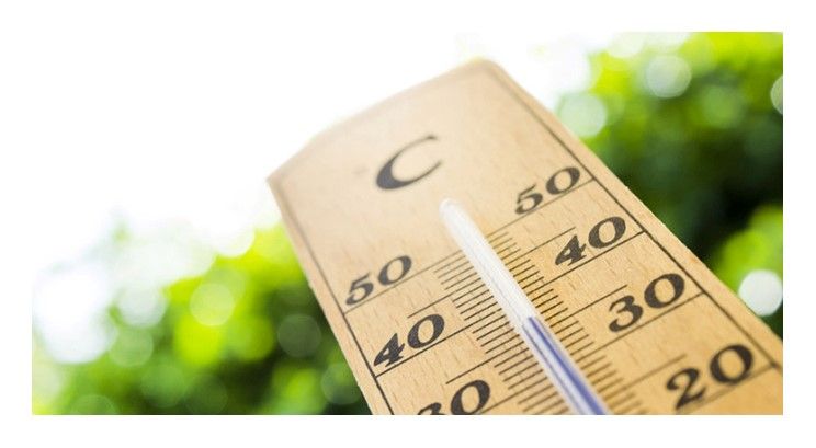 <h3>19 TEMMUZ HAVA DURUMU</h3>
<p>Meteorolji Genel Müdürlüğü tarafından yayımlanan 19 Temmuz hava durumu raporuna göre ise yurdun kuzey, iç ve doğu kesimleri parçalı ve yer yer çok bulutlu, Doğu Karadeniz, Doğu Anadolu’nun kuzeyi, Edirne, Kırklareli, Bolu, Karabük, Ordu ve Hakkâri çevreleri ile Van’ın kuzey ve doğu kesimleri yerel sağanak ve gök gürültülü sağanak yağışlı, diğer yerler ise az bulutlu veya açık olacak. Yağışların; Doğu Karadeniz kıyıları, Artvin, Kars ve Ardahan çevreleri ile Erzurum’un kuzey ve doğu ilçelerinde yerel kuvvetli olması bekleniyor.</p>