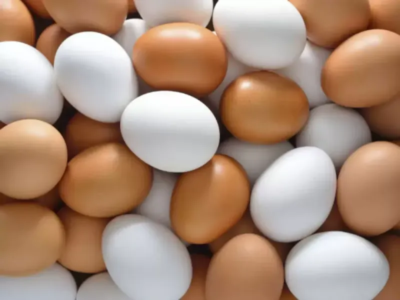 <p>UZMANLARDAN ZAM UYARISI</p>
<p>Artan gıda fiyatlarının bütçeleri sarsmaya devam ettiğini belirten vatandaşlar, bu durumun ekonomik sıkıntıları daha da derinleştireceği konusunda uyarıda bulunuyor.</p>
<p><br />Dar gelirli aileler için temel ihtiyaç maddelerindeki zamlar yaşam koşullarını zorlaştırırken, uzmanlar enflasyonun kontrol altına alınamaması halinde zamların devam edebileceği uyarısını yapıyor.</p>