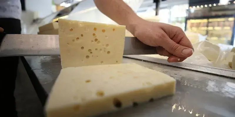 <h2 class="lead text-lg-start text-dark my-2 description" itemprop="description">Almanya'da bir peynir ürününde tespit edilen küf sorunu nedeniyle ürünler marketlerden toplatılırken tüketicilerin bu ürünü tüketmekten kaçınmaları gerektiği belirtildi.</h2>