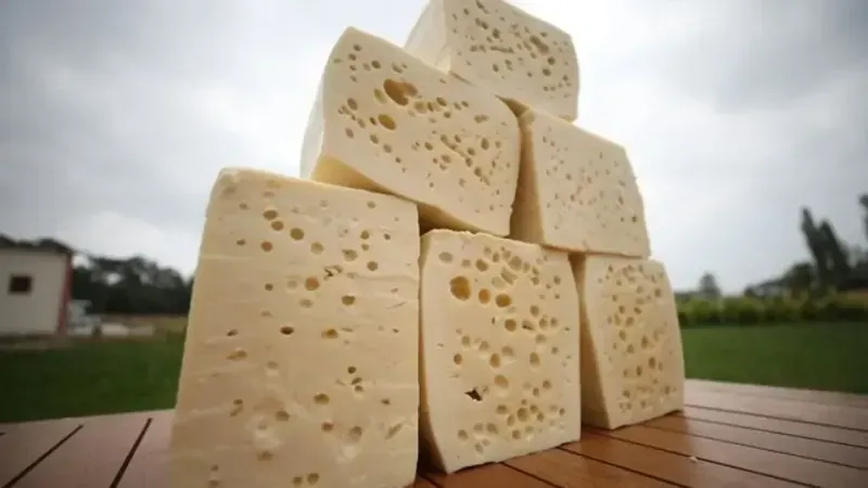 <p><span>Almanya Federal Tüketici Koruma ve Gıda Güvenliği Dairesi (BVL), bir peynir ürününde tespit edilen </span><strong>küf sorunu</strong><span> nedeniyle tüketicileri uyardı. Yapılan duyuruda, tüm tüketicilerin bu ürünü tüketmekten kaçınmaları gerektiği belirtildi.</span></p>