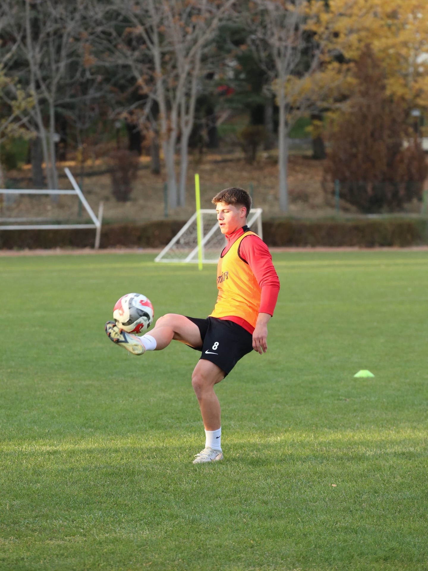 582078721 18095862793833238 8289648048477140652 N