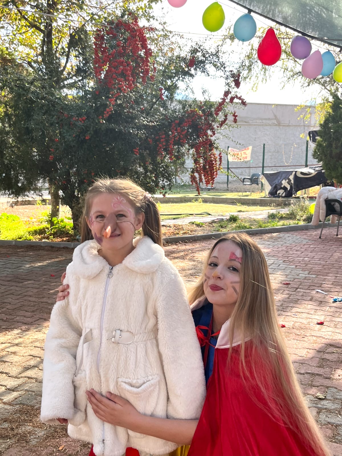 5Aff94E7 F480 4A55 Acc5 4D7574267C96