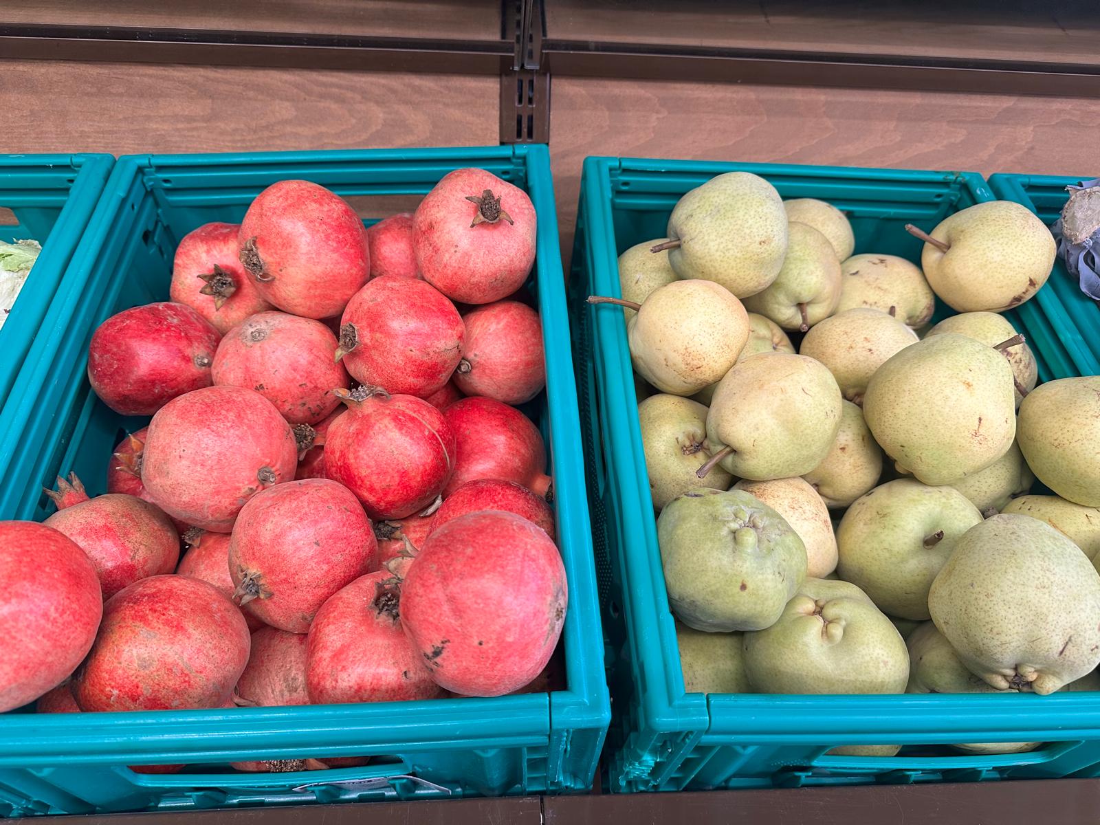 Whatsapp Image 2025 11 06 At 13.11.21