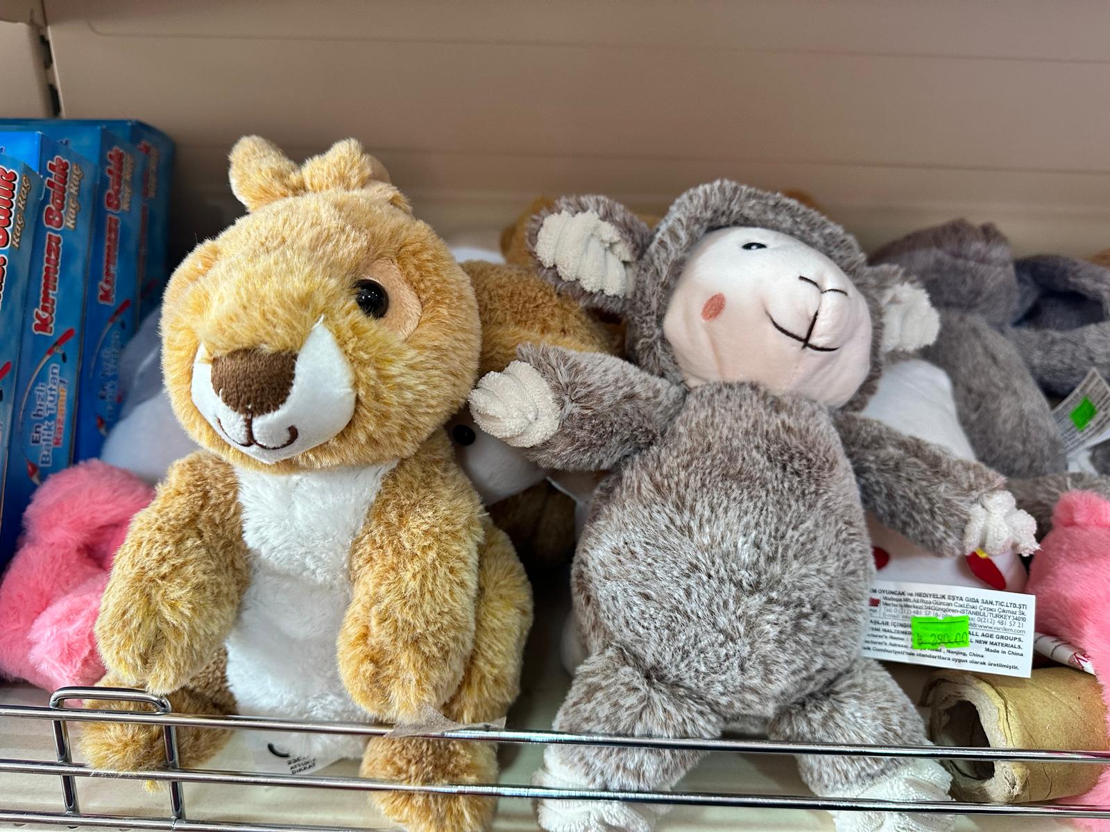 Whatsapp Image 2025 11 06 At 13.34.01