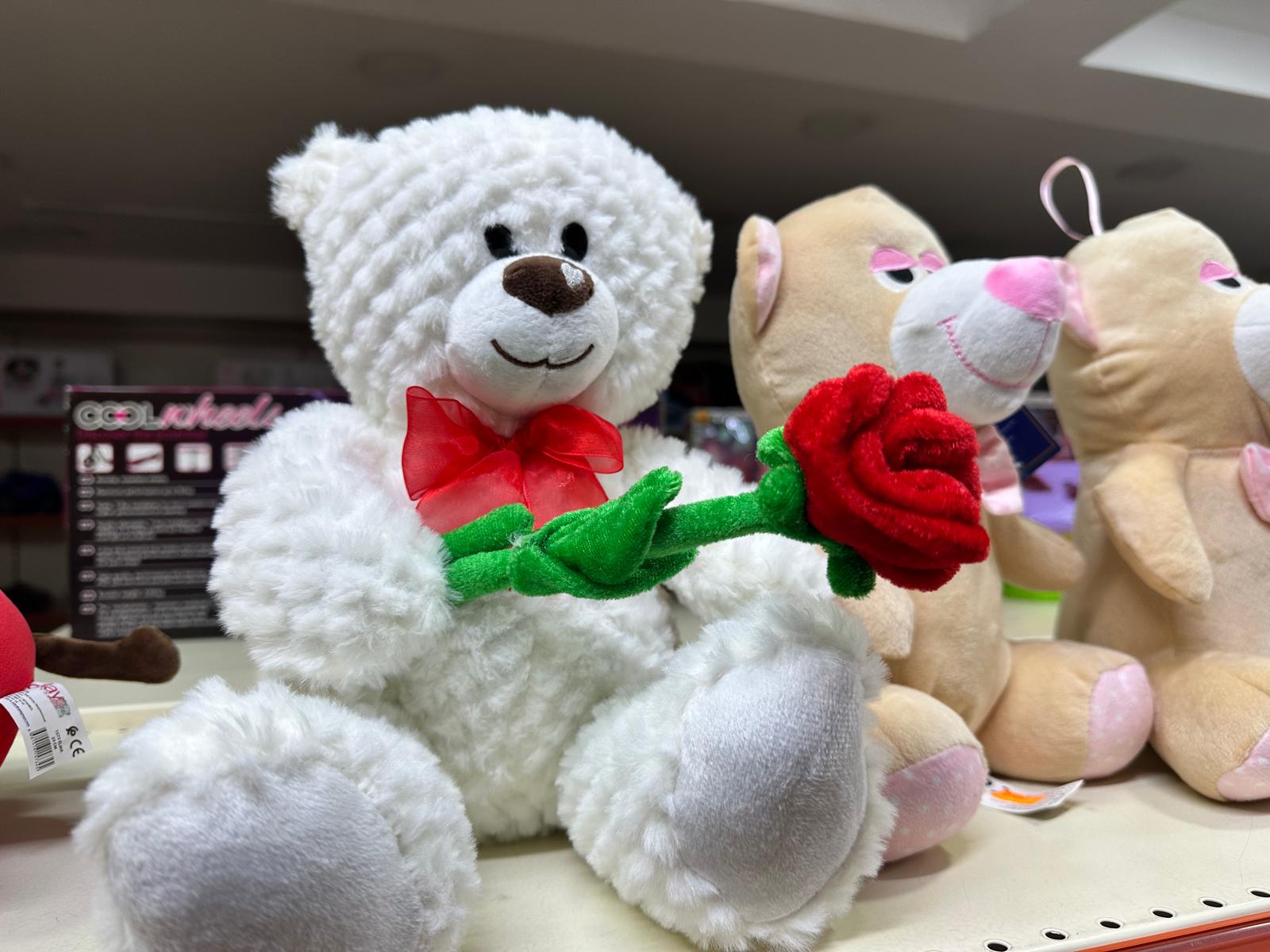 Whatsapp Image 2025 11 06 At 13.34.02-1