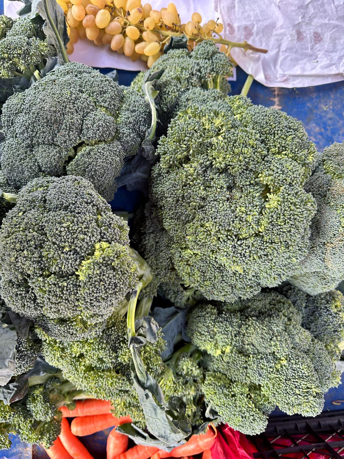 Whatsapp Image 2025 11 25 At 13.13.29