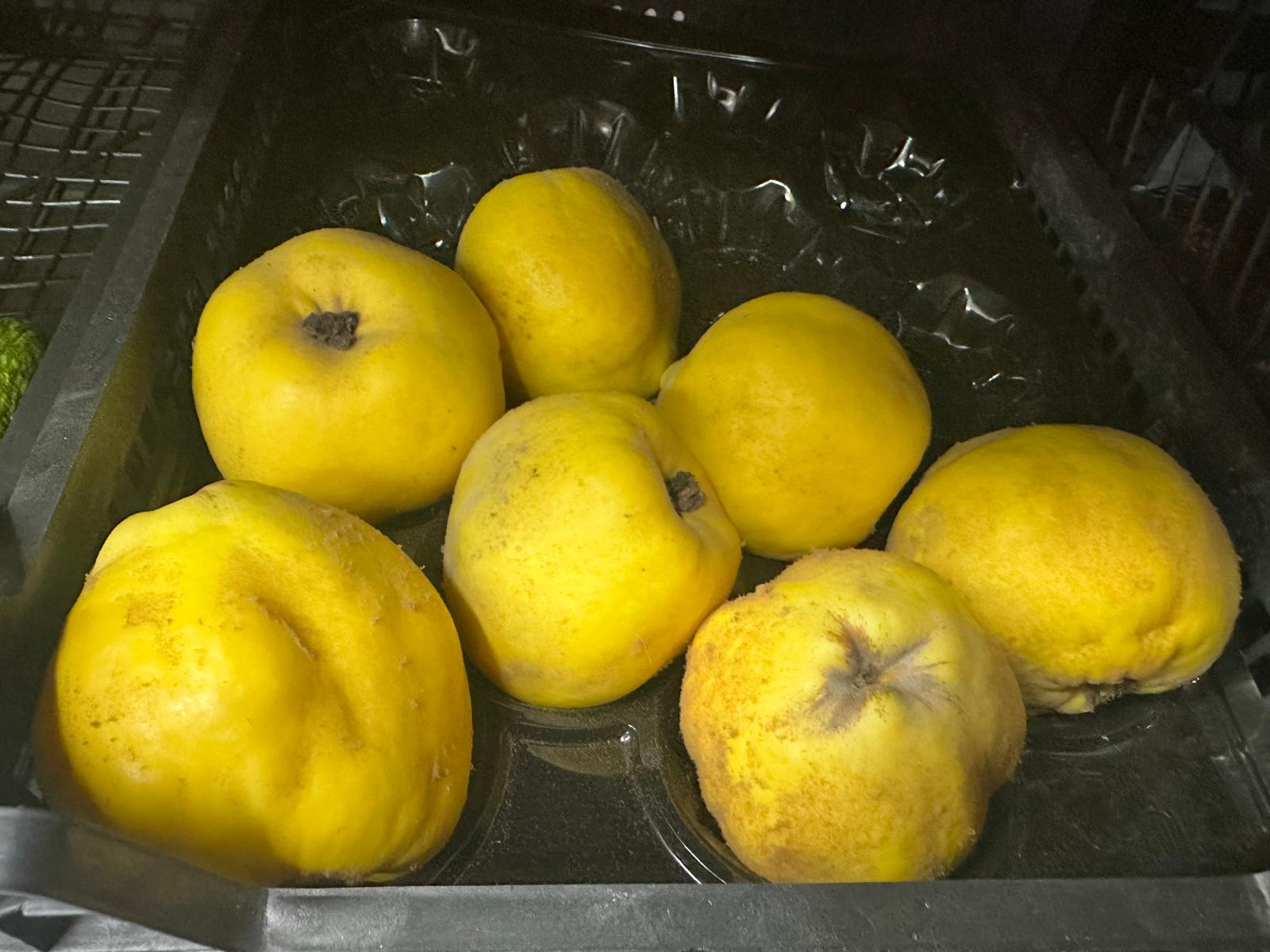 Whatsapp Image 2025 11 29 At 11.44.43 (2)