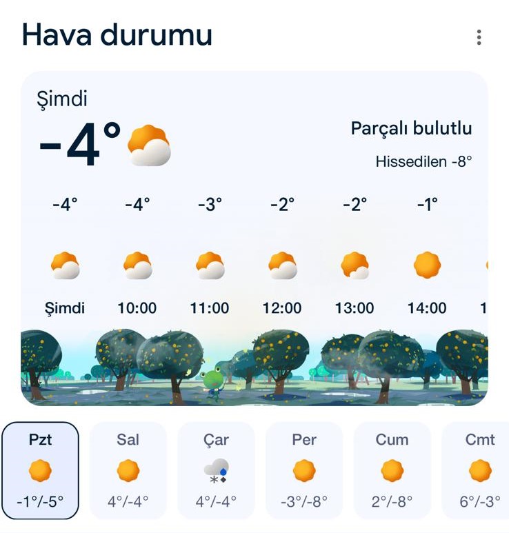 Kar Sevinci Kısa Sürdü (1)