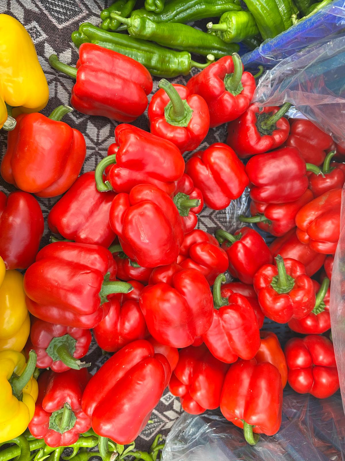 Whatsapp Image 2025 12 09 At 13.24.08 (1)