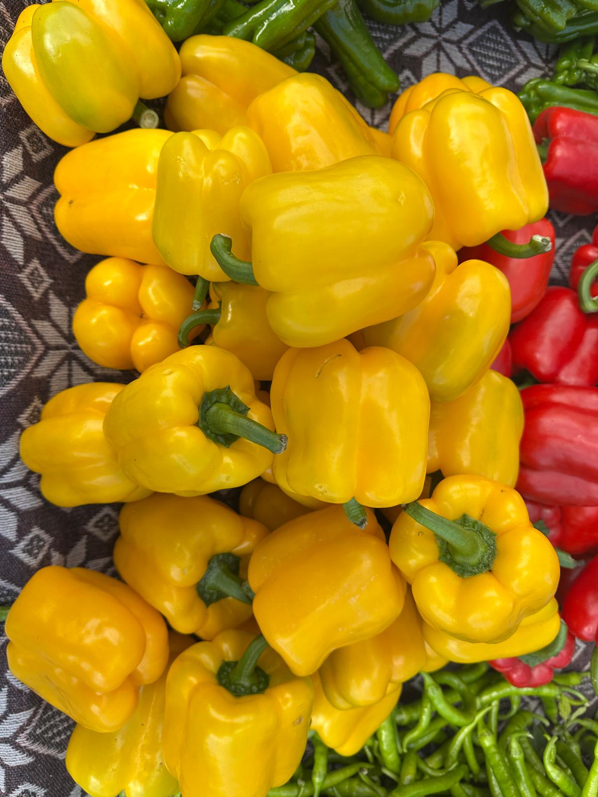 Whatsapp Image 2025 12 09 At 13.24.08 (2)