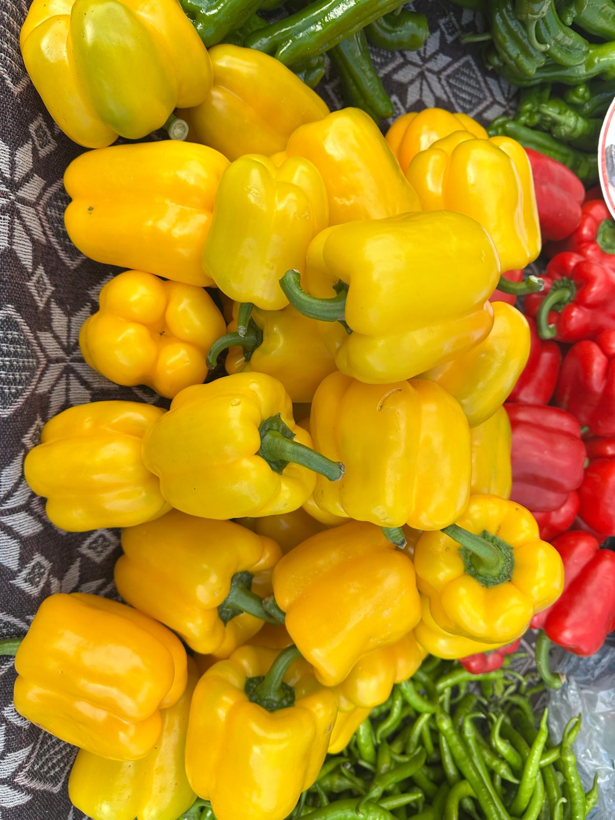 Whatsapp Image 2025 12 09 At 13.24.08