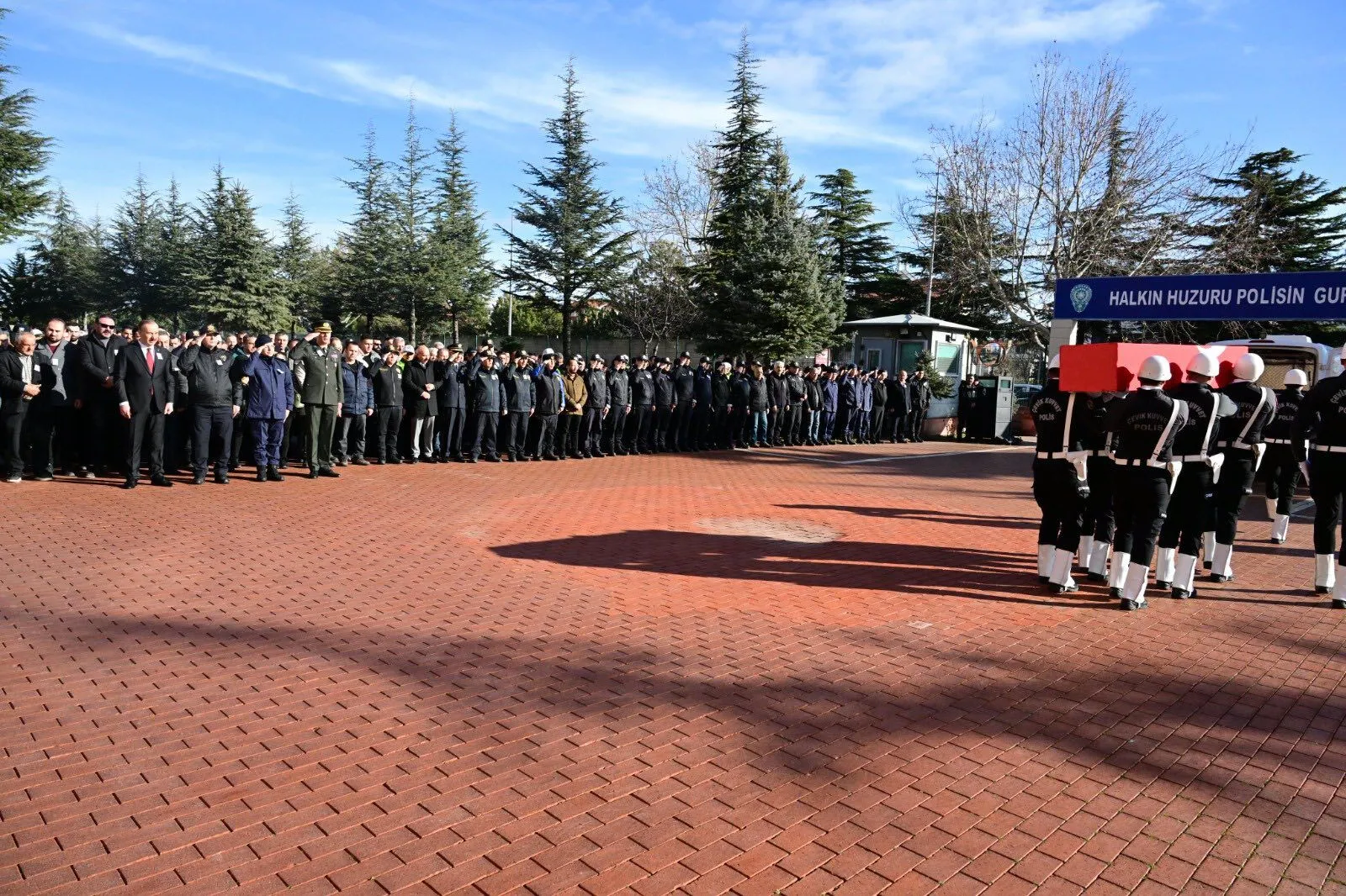 631096625 1445817253663838 5304868793655107713 N