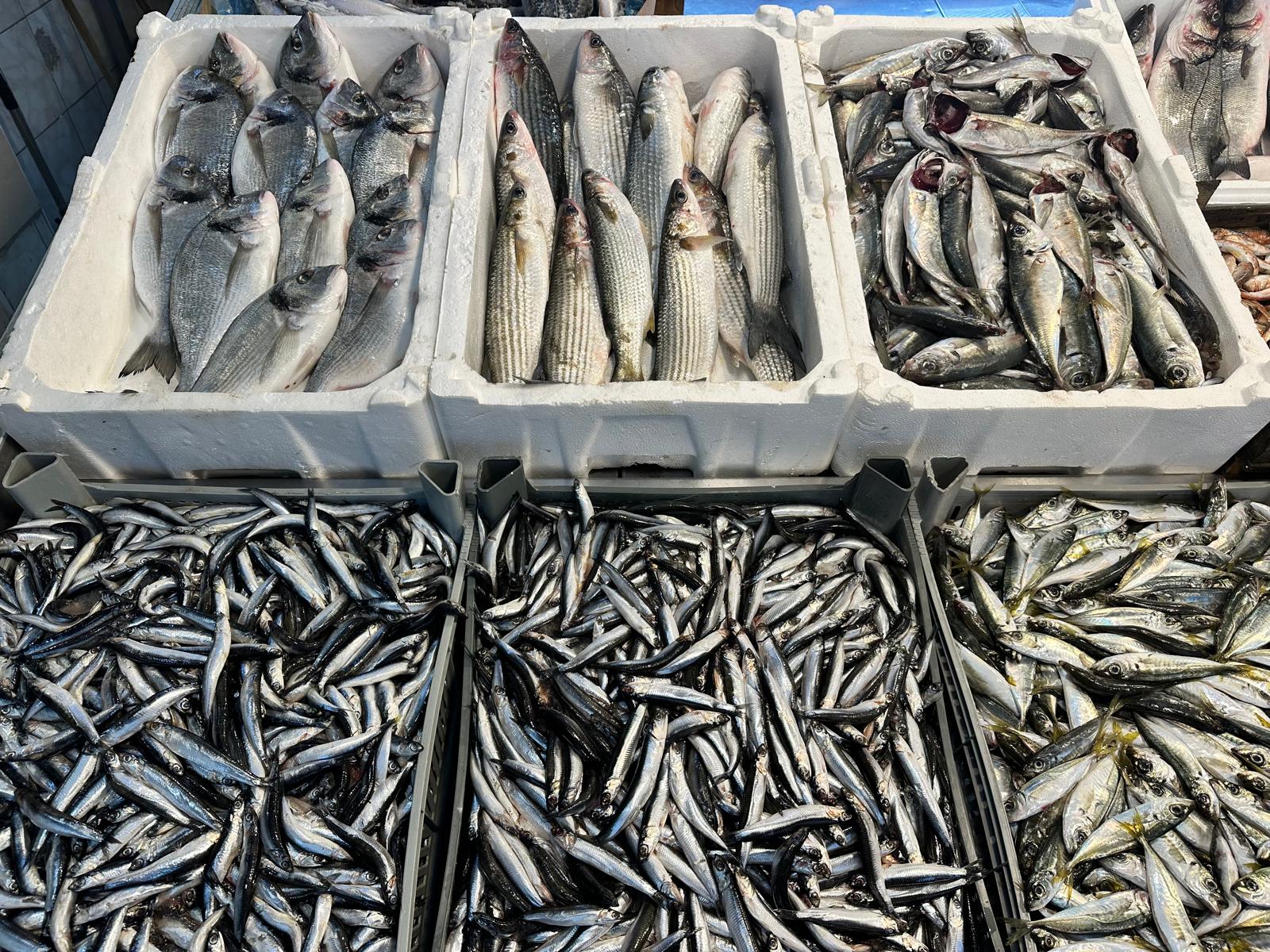 Whatsapp Image 2026 01 28 At 09.41.00 (7)