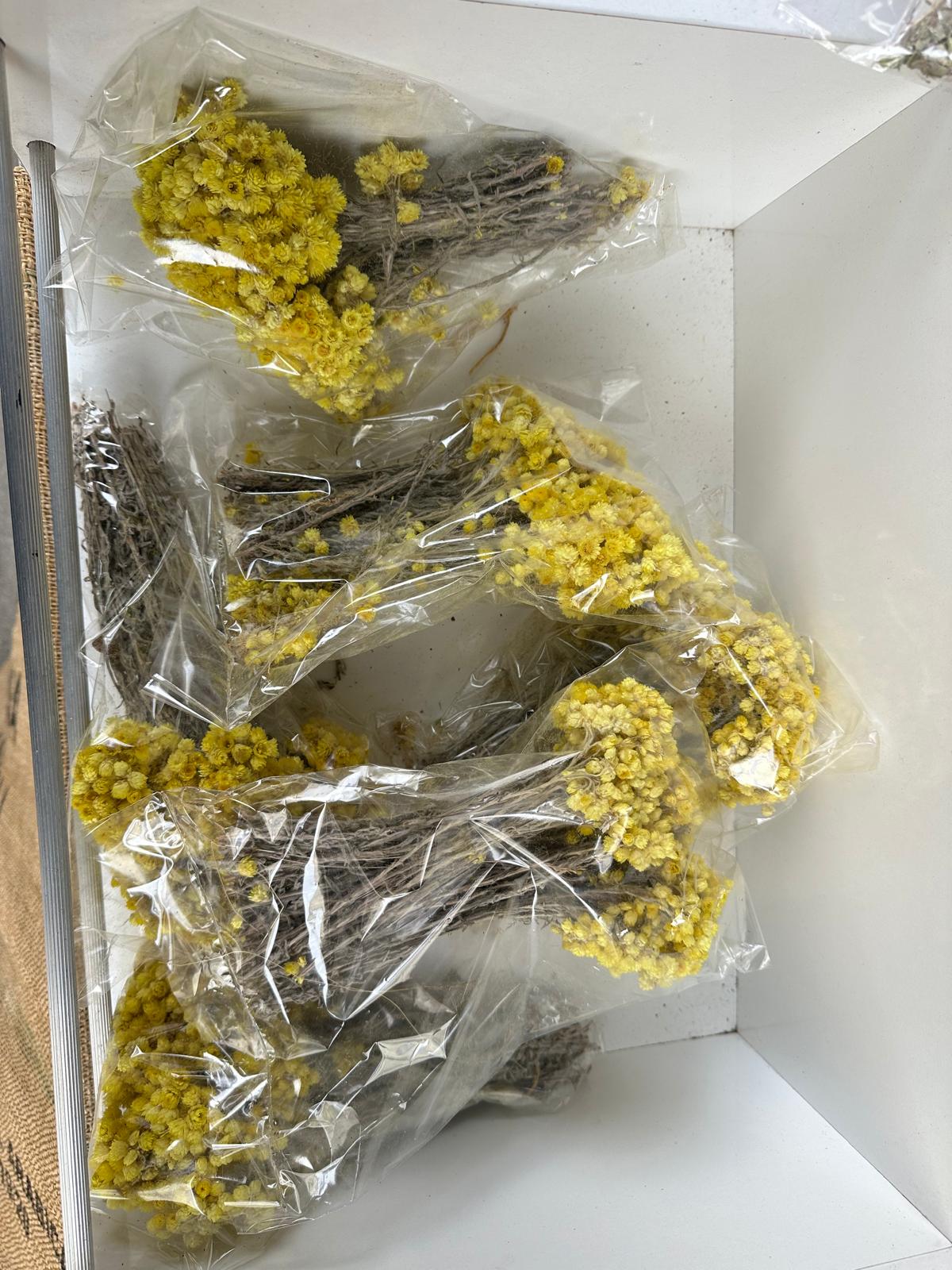 Whatsapp Image 2026 02 18 At 09.57.31