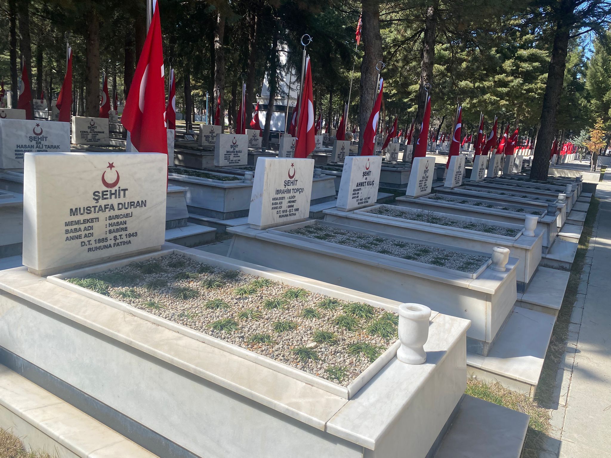 Whatsapp Image 2026 03 12 At 14.29.58 (1)