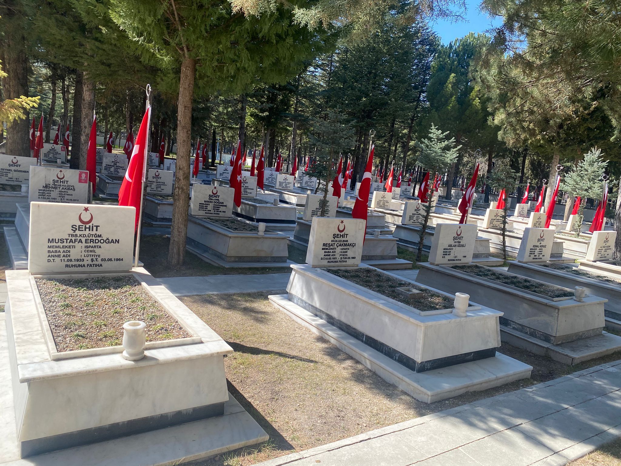 Whatsapp Image 2026 03 12 At 14.29.58