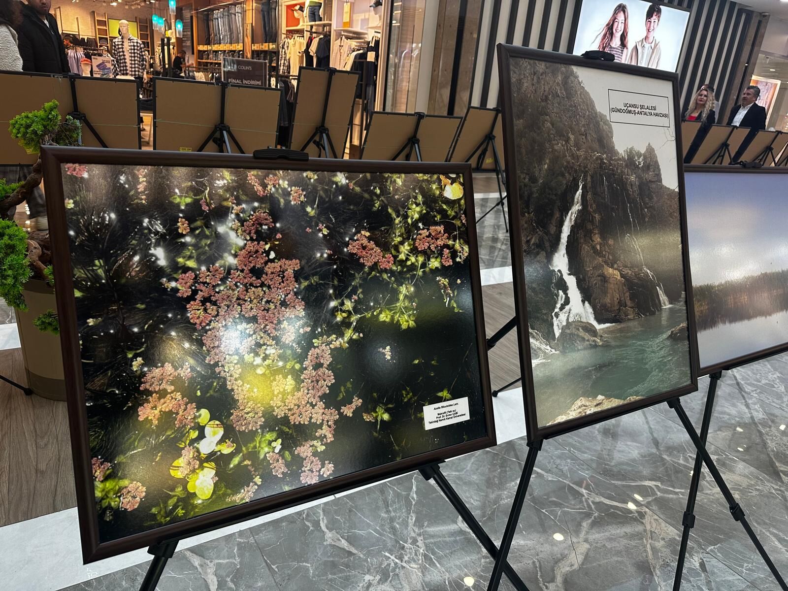 Whatsapp Image 2026 03 25 At 13.01.42 (1)