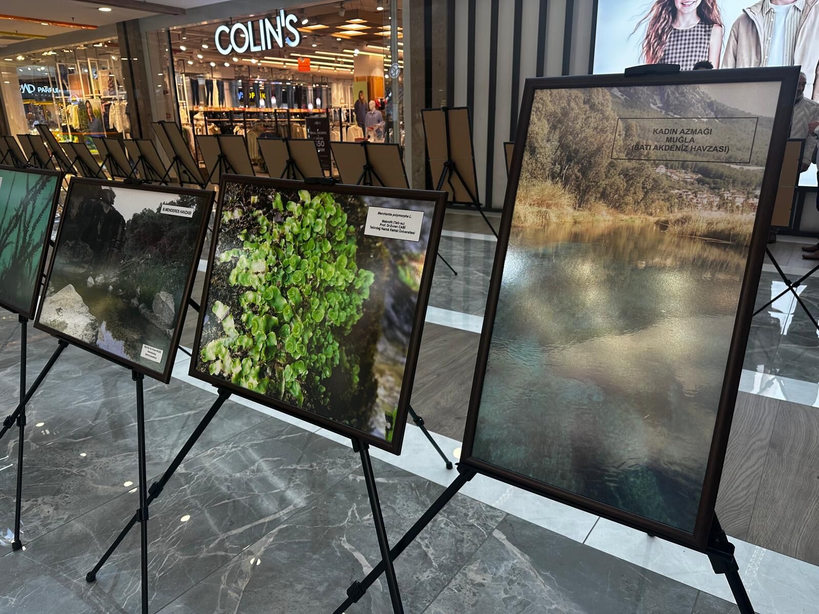 Whatsapp Image 2026 03 25 At 13.01.43 (2)