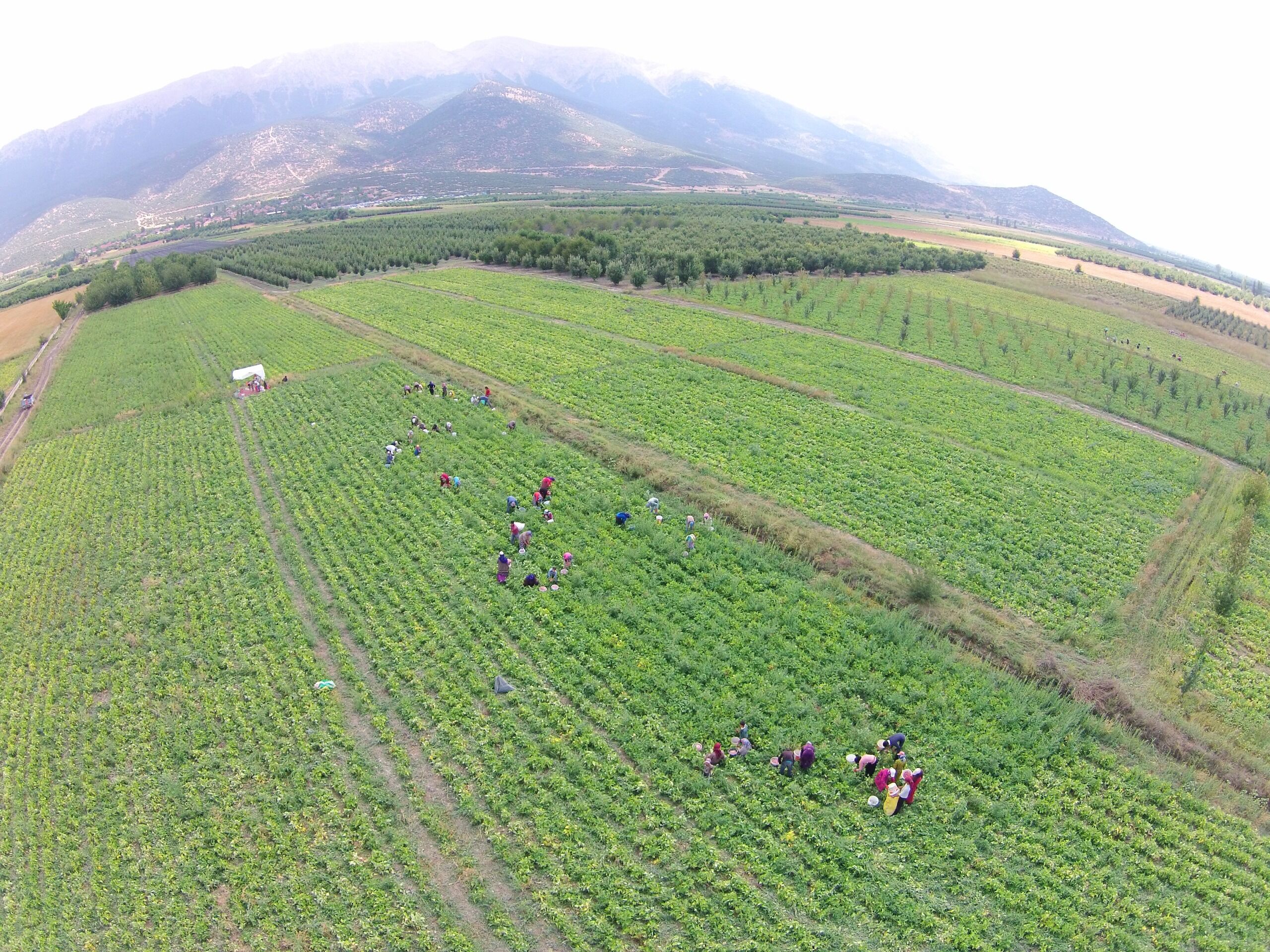 17 Milyar Liralık Dev Yatırım Hamlesiaa (3)