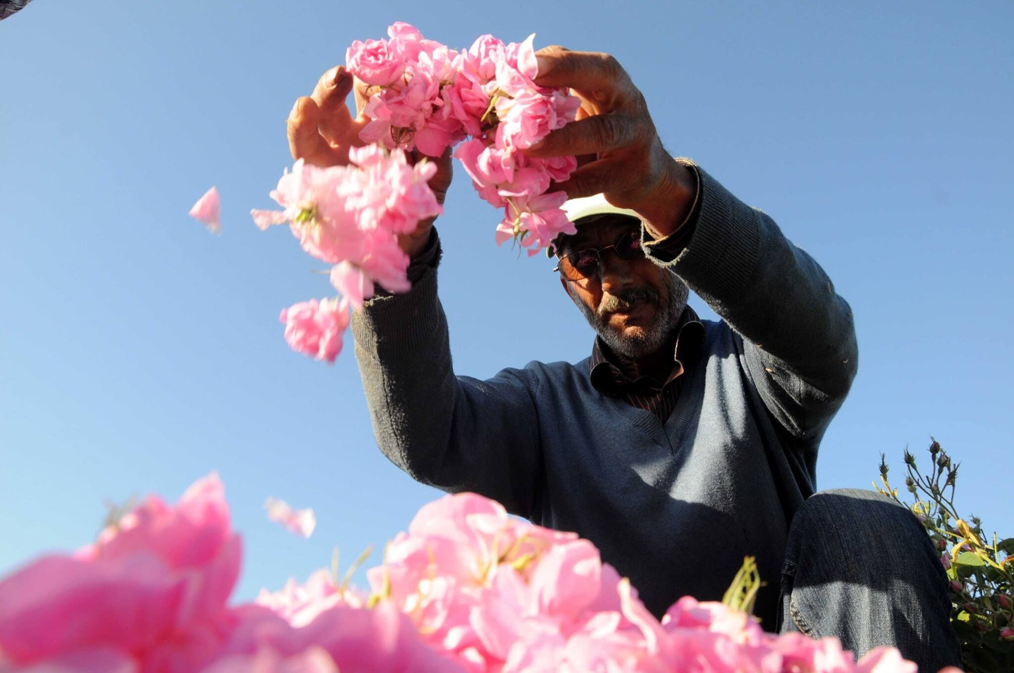 Gül Yeni Çekimleriiiiiiiiiiiiiiiiiiiiiiiiiiiii (2)