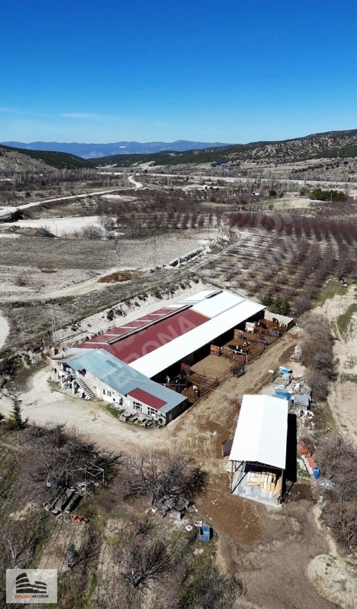 “Kurbanlıklarımız Kendi (2)