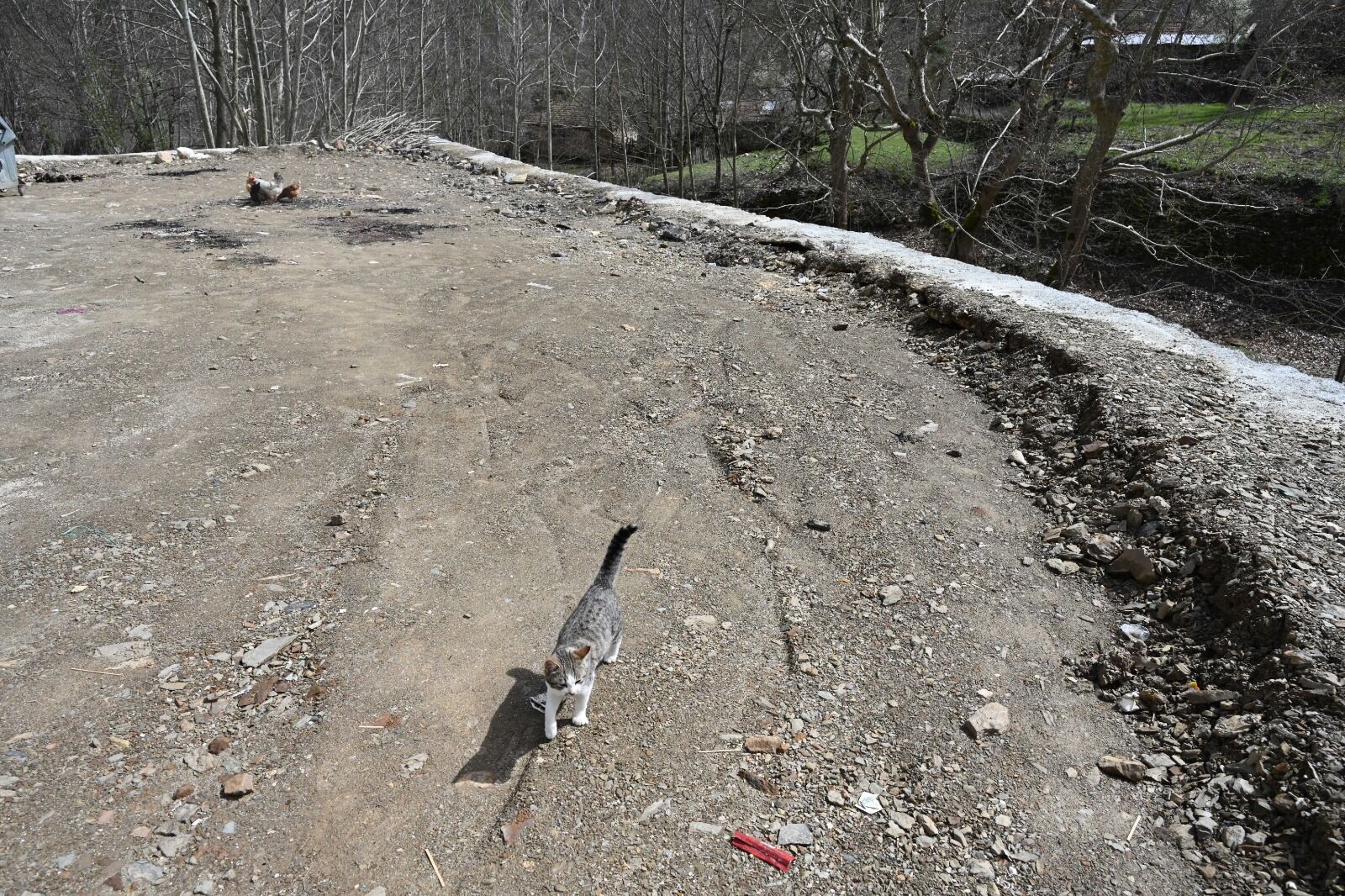 Whatsapp Image 2026 04 06 At 08.50.08