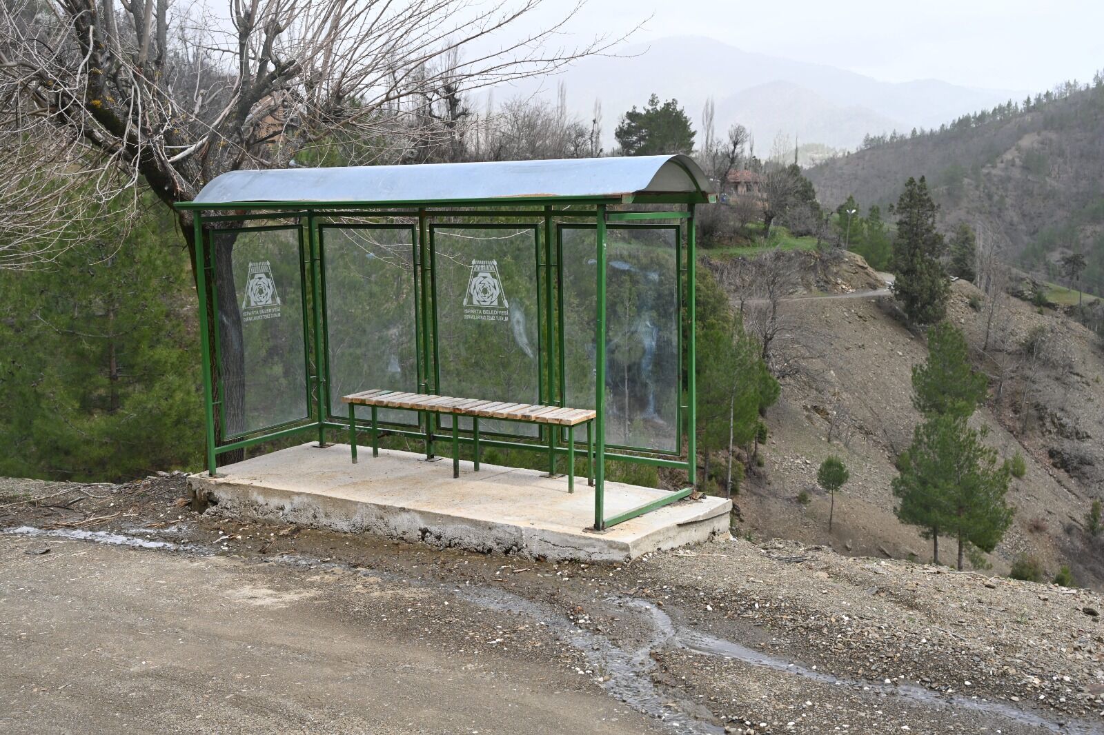 Whatsapp Image 2026 04 06 At 08.50.09 (1)