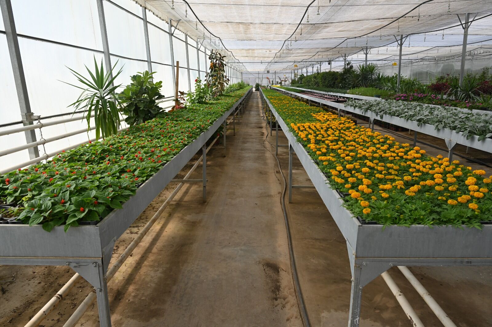 Whatsapp Image 2026 04 13 At 15.15.41