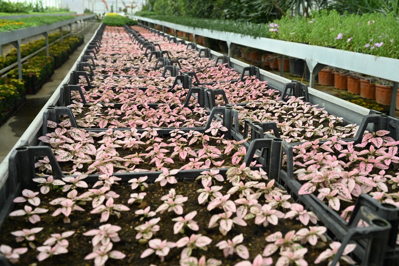 Whatsapp Image 2026 04 13 At 15.15.42