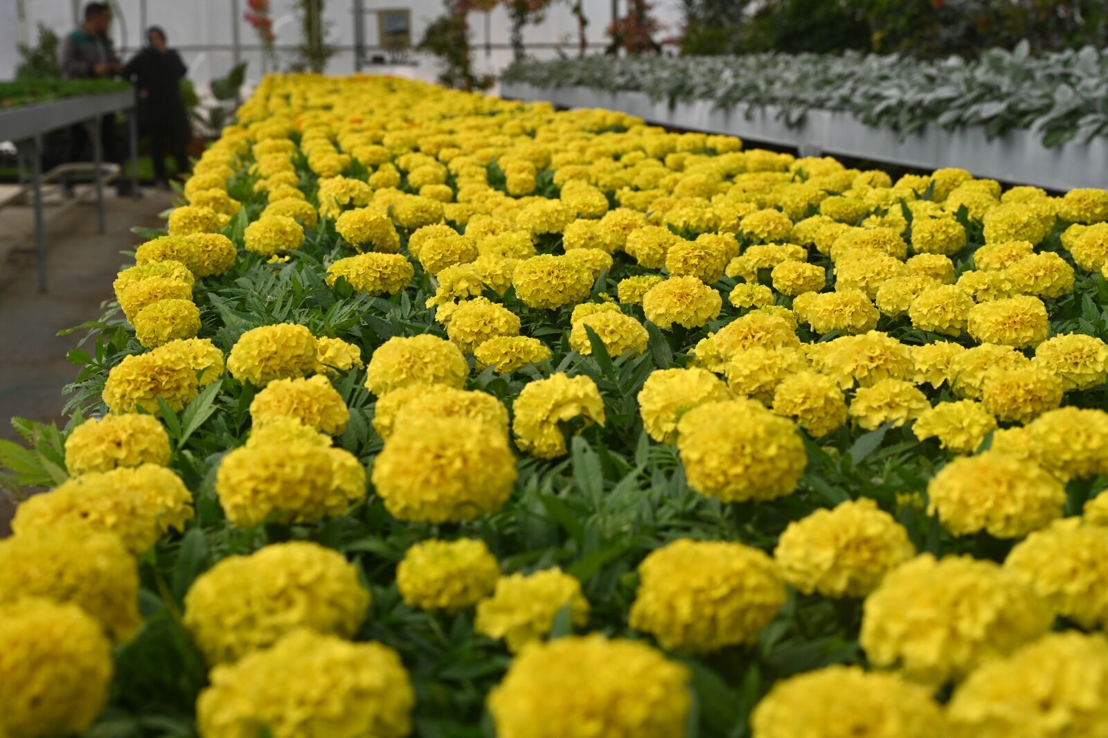 Whatsapp Image 2026 04 13 At 15.15.44 (1)