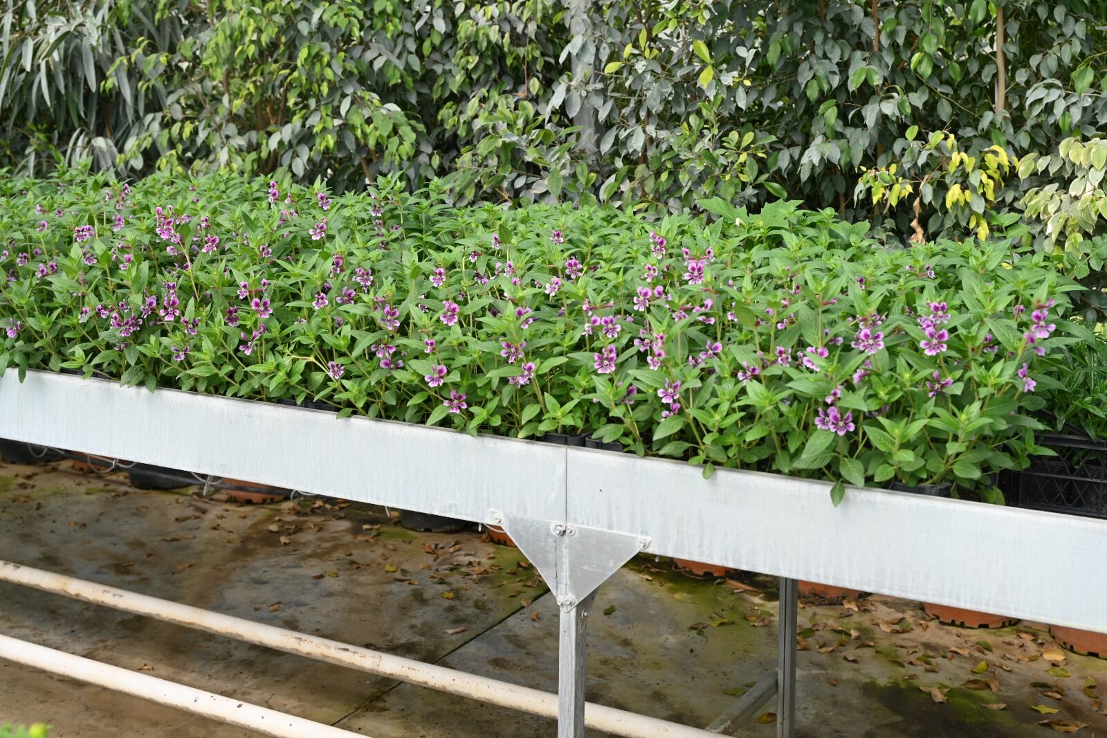 Whatsapp Image 2026 04 13 At 15.15.44