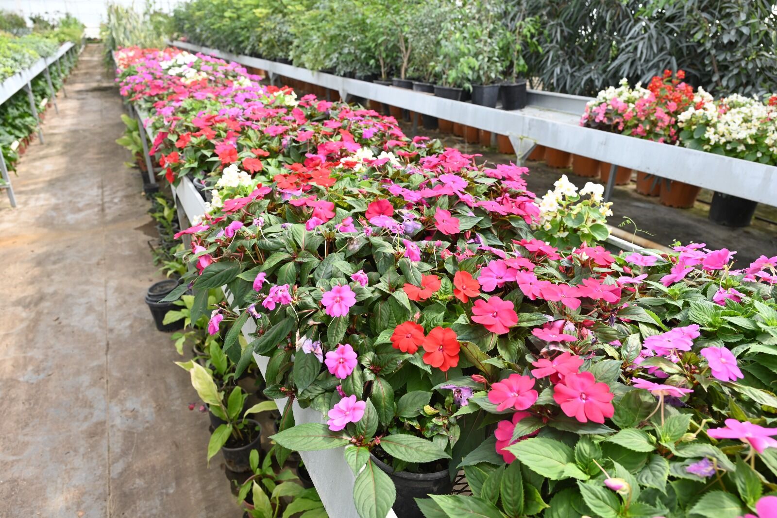 Whatsapp Image 2026 04 13 At 15.15.45 (1)